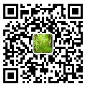 WeChat QR Code WeChat QR Code